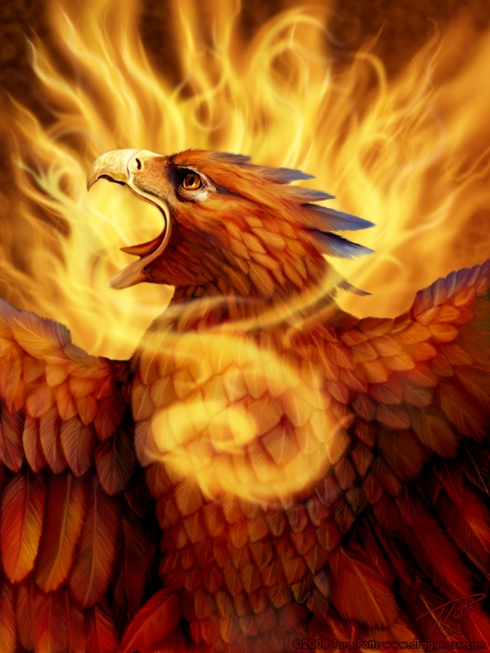 New Facts You Don't Know about the Legend of the Phoenix