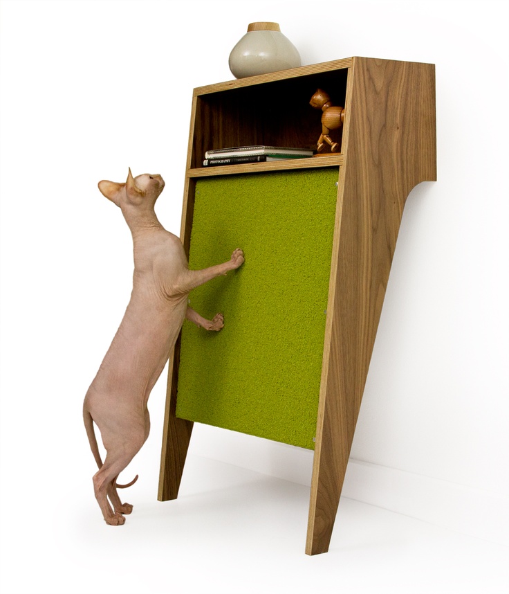 15+ Cat Furniture Pieces for Cat Lovers in 2022