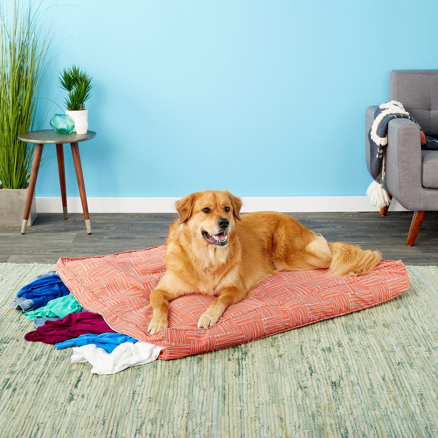 +80 Adorable Dog Bed Designs That Will Surprise You