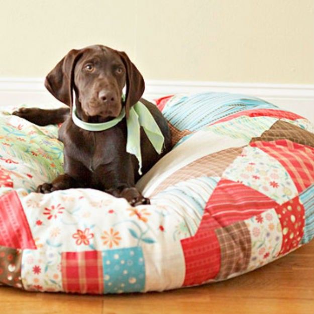 +80 Adorable Dog Bed Designs That Will Surprise You