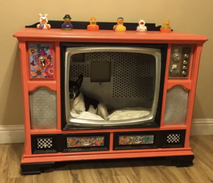 +80 Adorable Dog Bed Designs That Will Surprise You