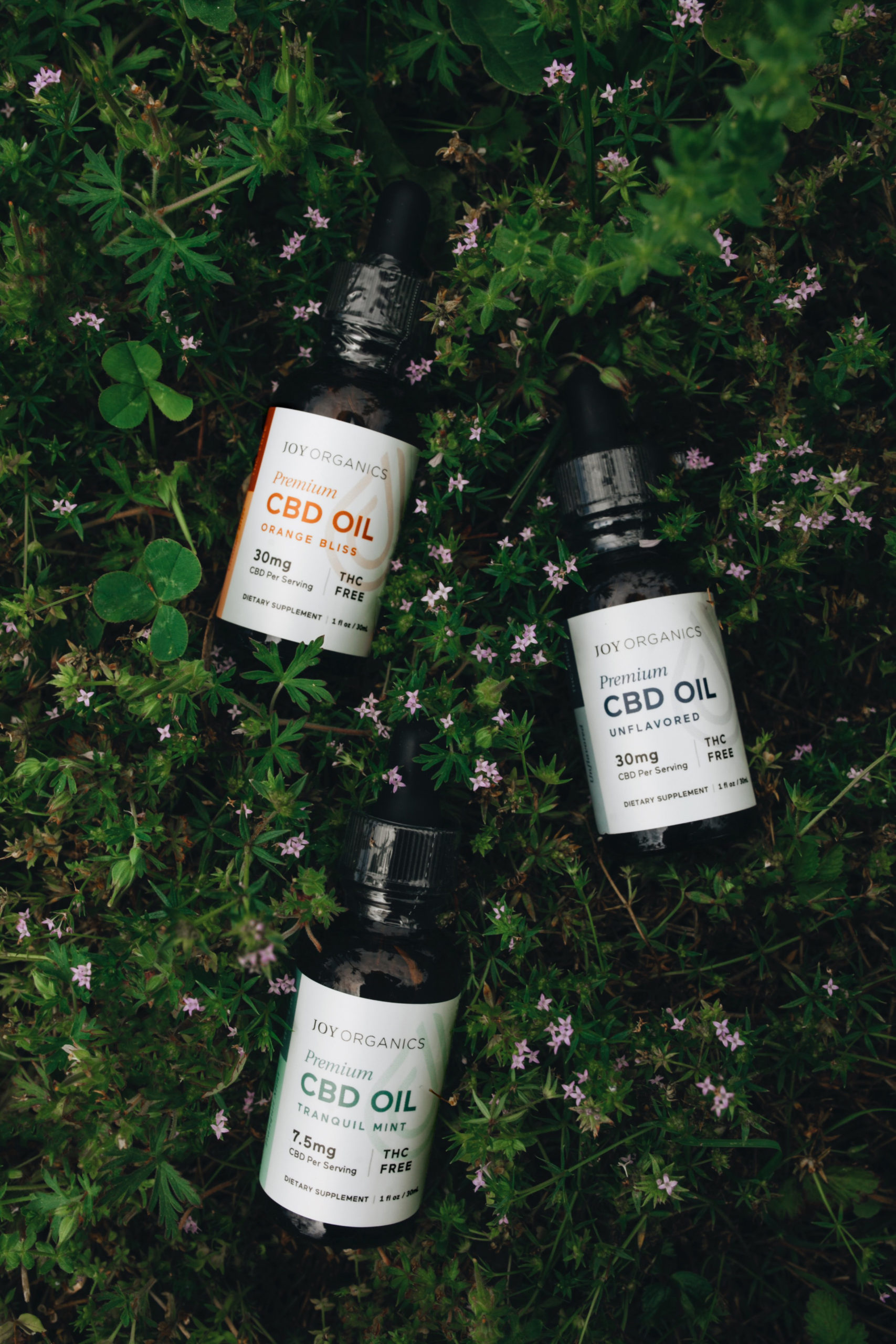 Top 5 CBD Companies to Watch in 2022