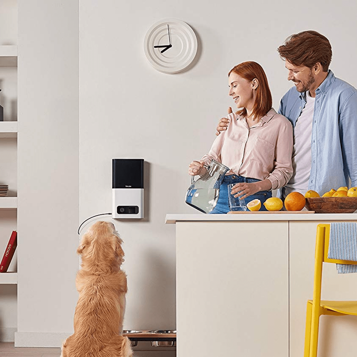 How to Use a Pet Camera to Treat Your Dog's Separation Anxiety