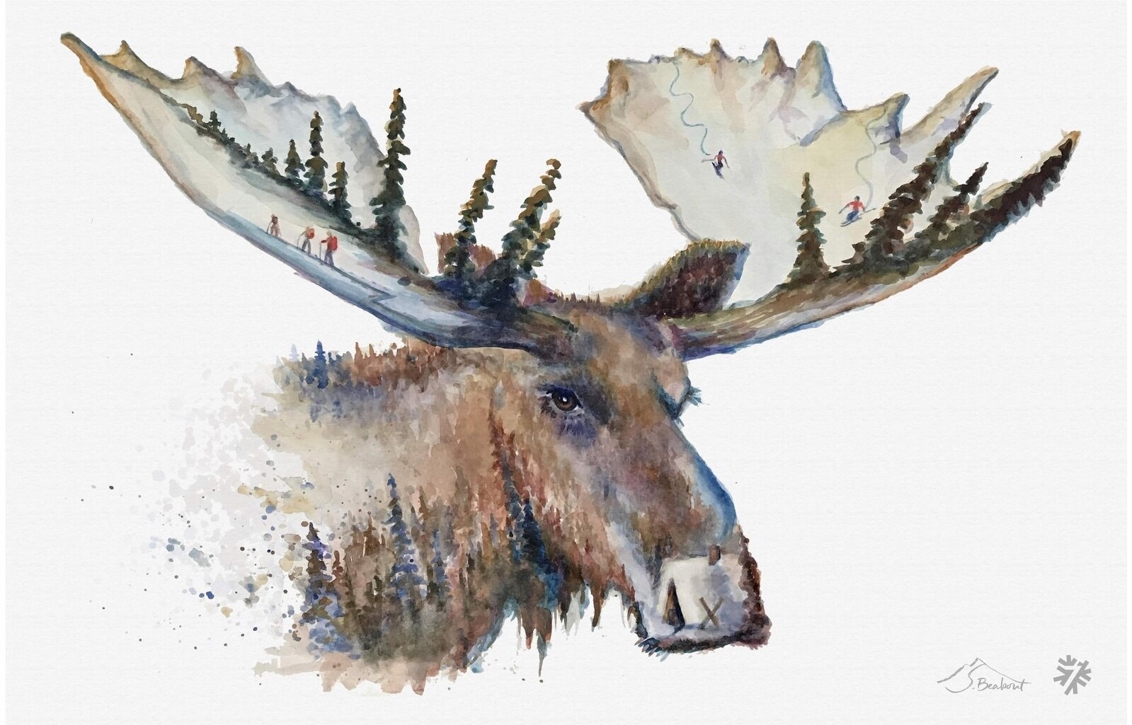 Introducing The Limited Edition Moose Tracks Collection