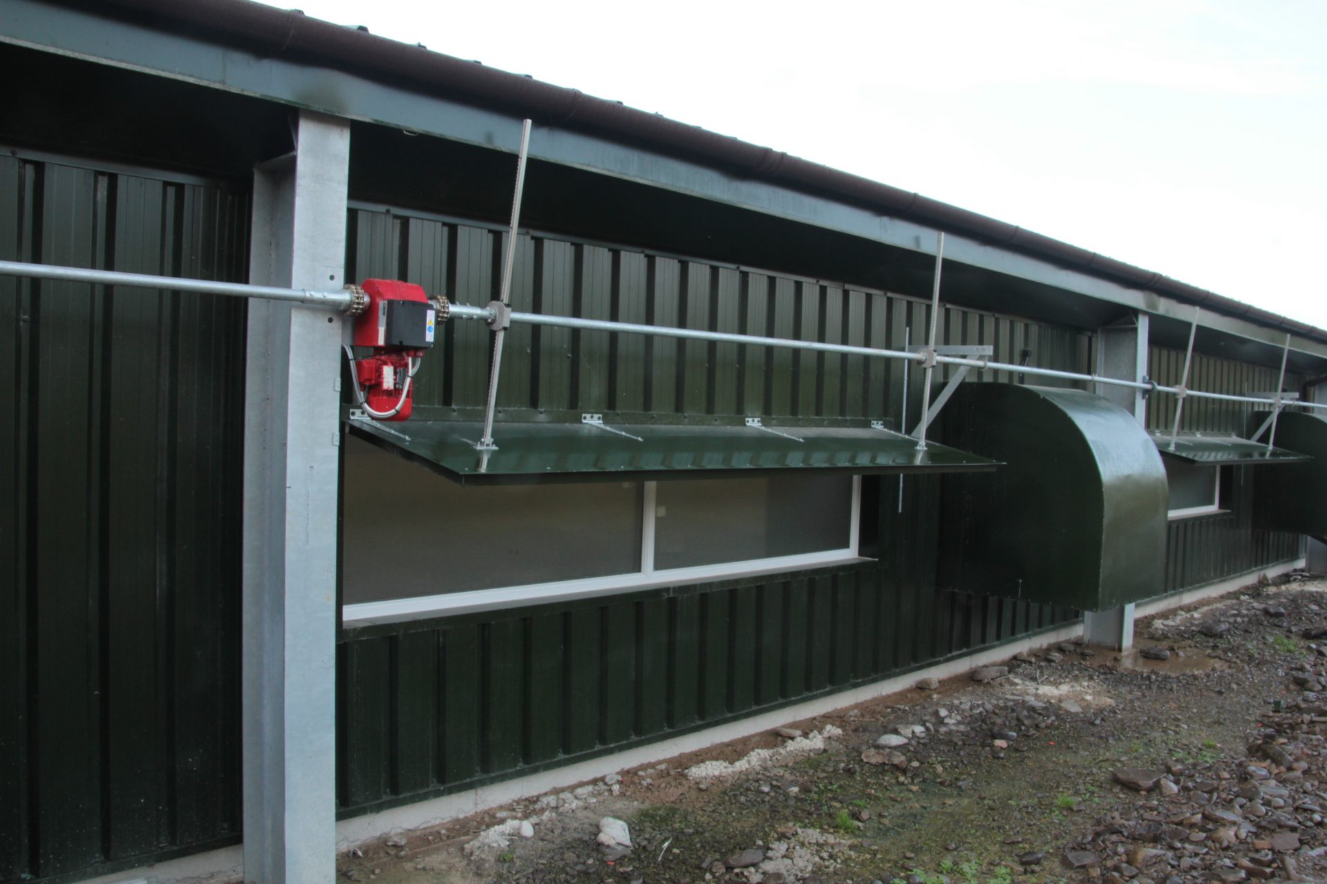 Powell & Co Construction Poultry House Windows