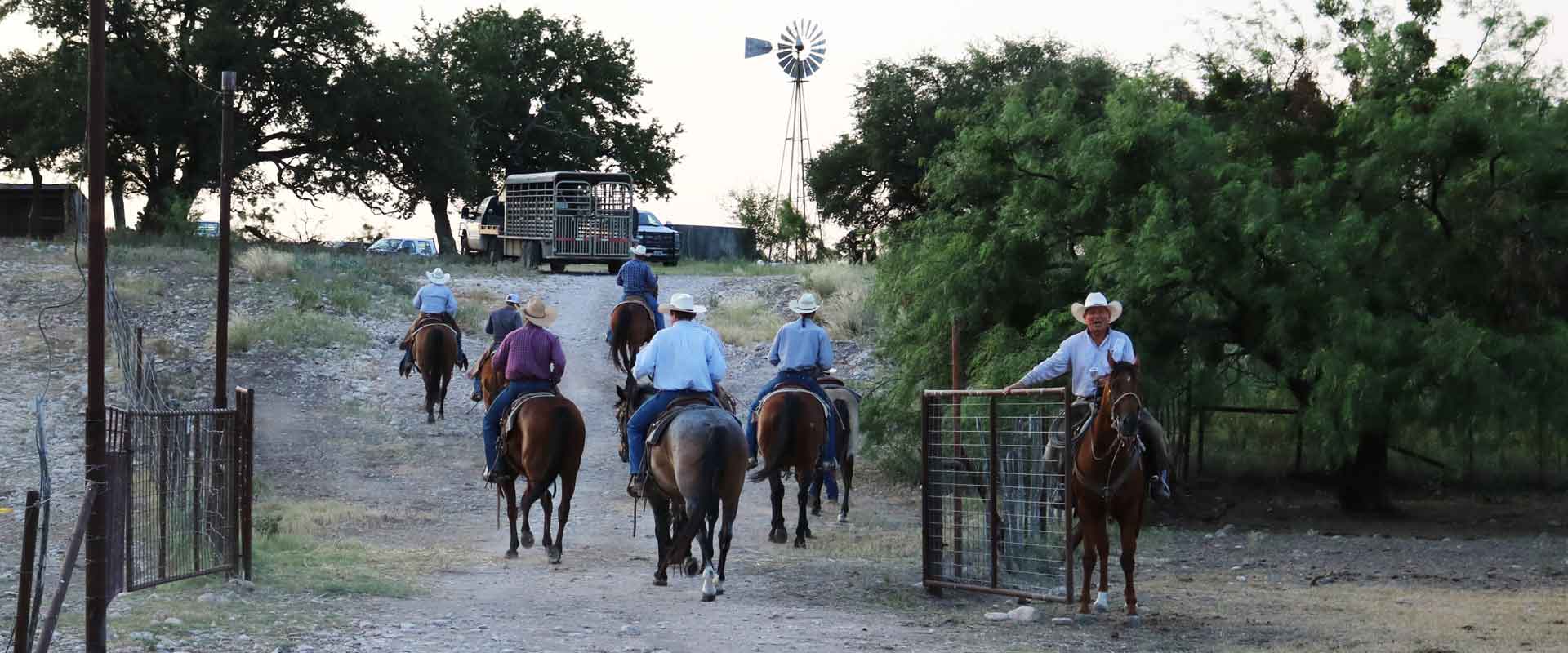 to Powell Herefords! Powell Ranches