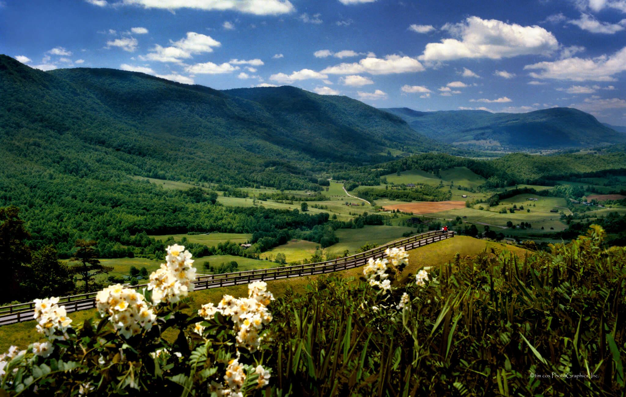 Board of Directors Powell Valley National Bank