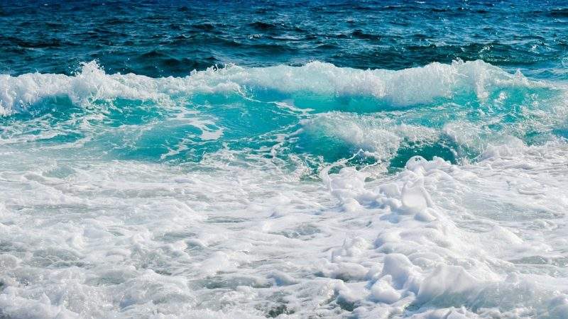Simplified design reduces tidal generator costs Power Technology