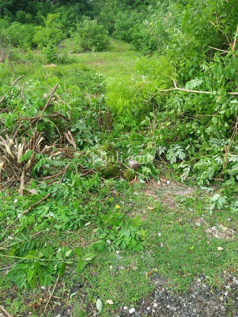 LAND FOR SALE WITH AFFORDABLE PRICE IDR 350M/ARE Power Property