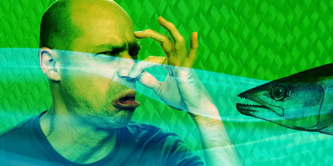 Why Does My Swamp Cooler Smell Fishy? Power Breezer