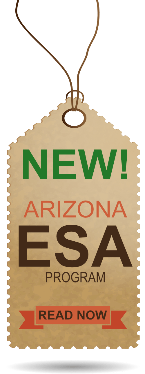 Guide to Homeschooling in Arizona Power Homeschool