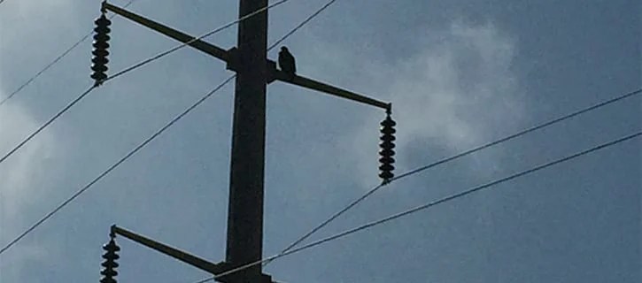Alliant Energy Sells Minnesota Electric Service Territory to 12