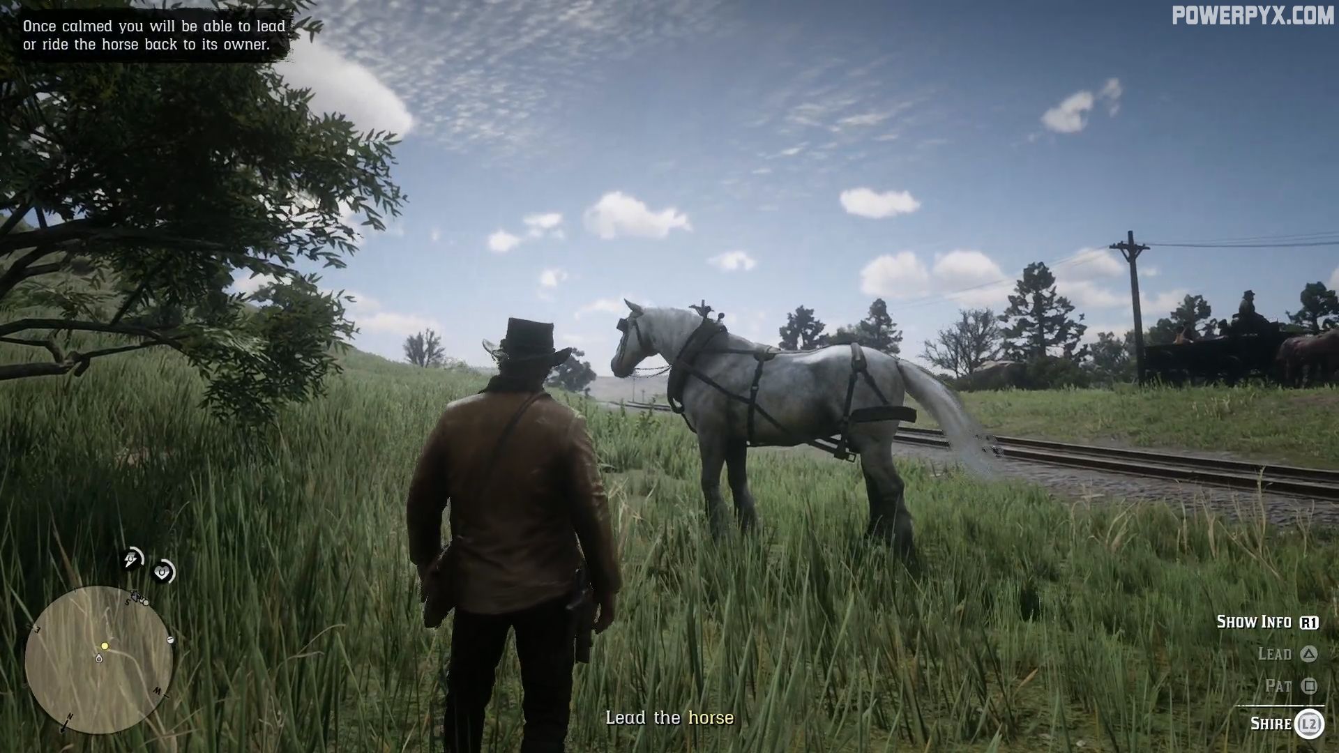 How to calm horse rdr2 while riding