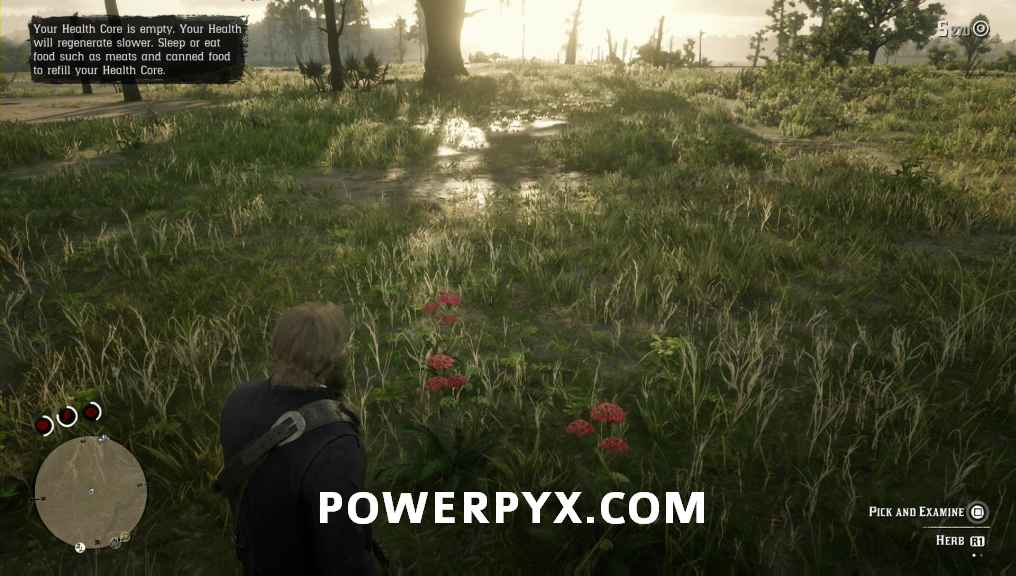 Red Dead Redemption 2 Plants Locations