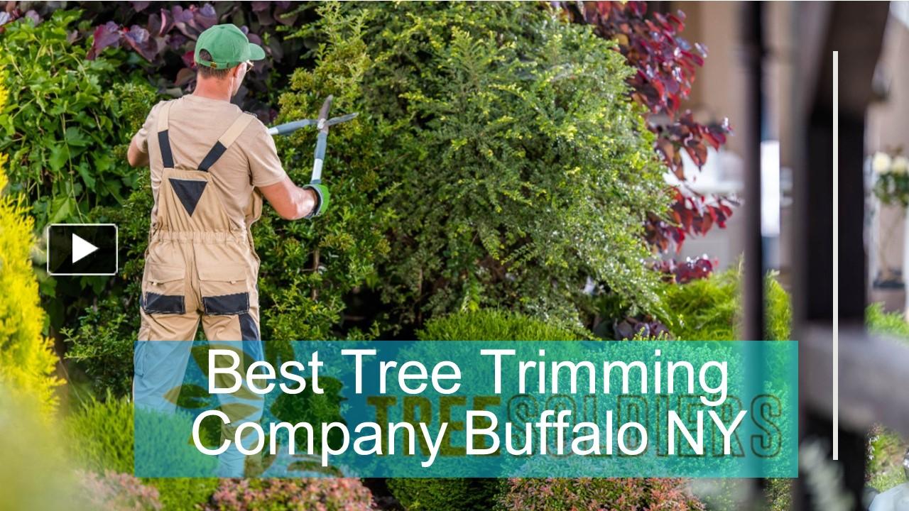 PPT Best Tree Trimming Company Buffalo NY PowerPoint presentation