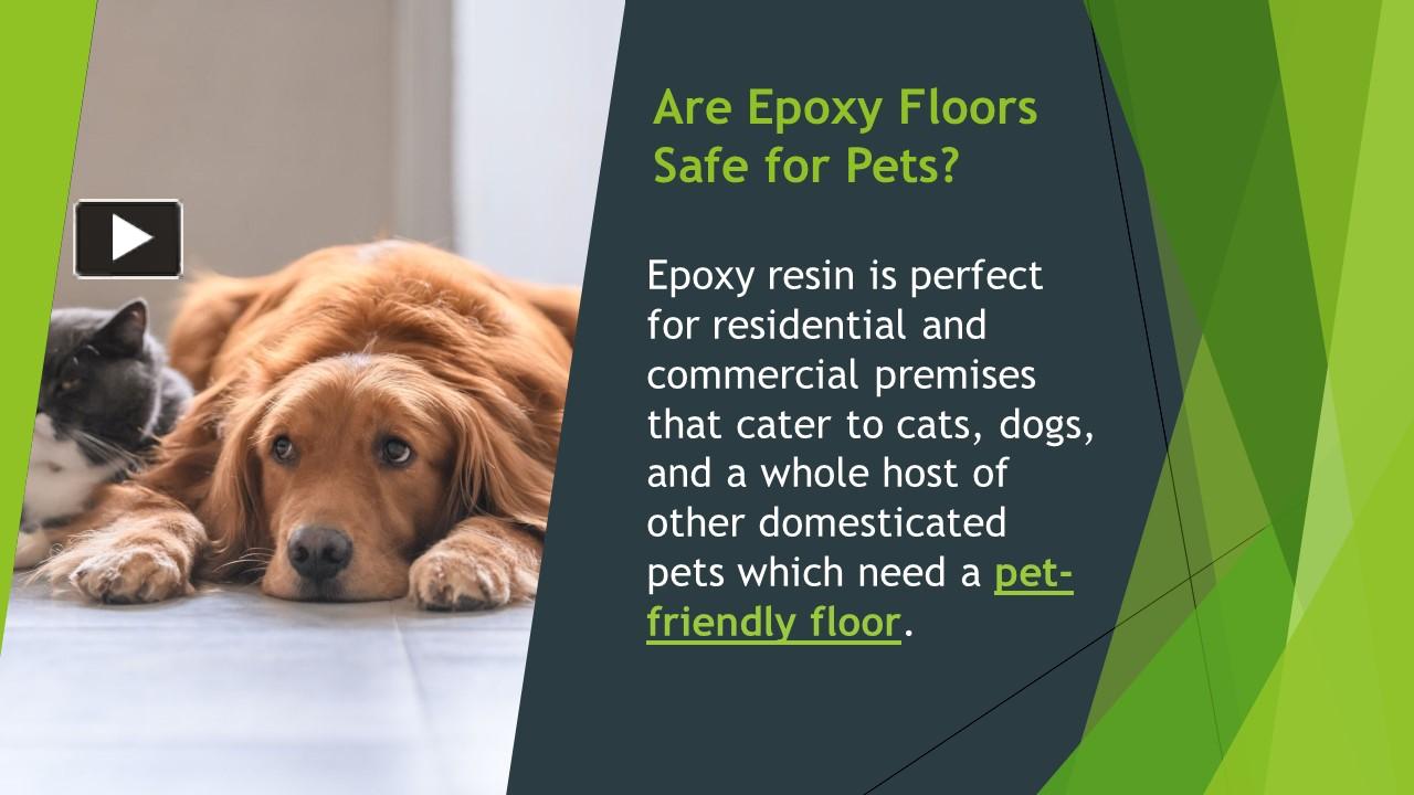 PPT Are Epoxy Floors Safe for Pets PowerPoint presentation free to