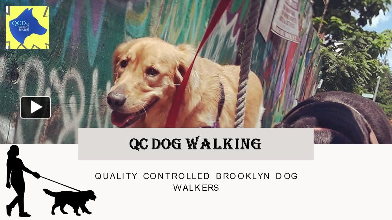 PPT Best Dog Walkers And Pet Sitting Services In Brooklyn PowerPoint