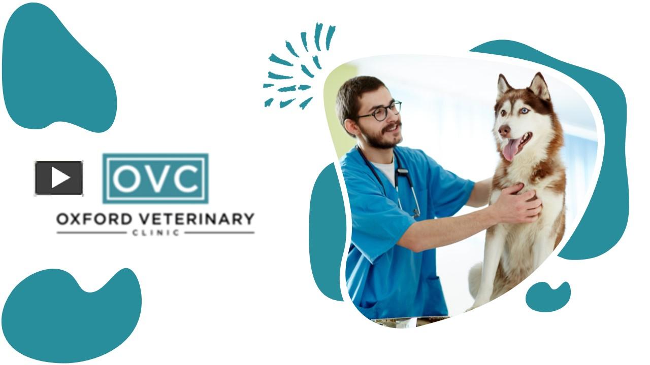 PPT Oxford Veterinary Hospital PowerPoint presentation free to