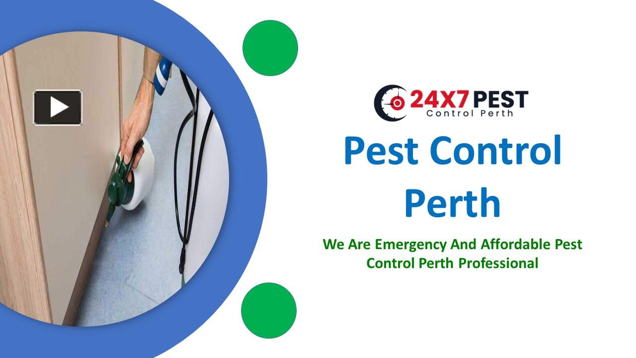 PPT 247 Pest Control Perth PowerPoint presentation free to download