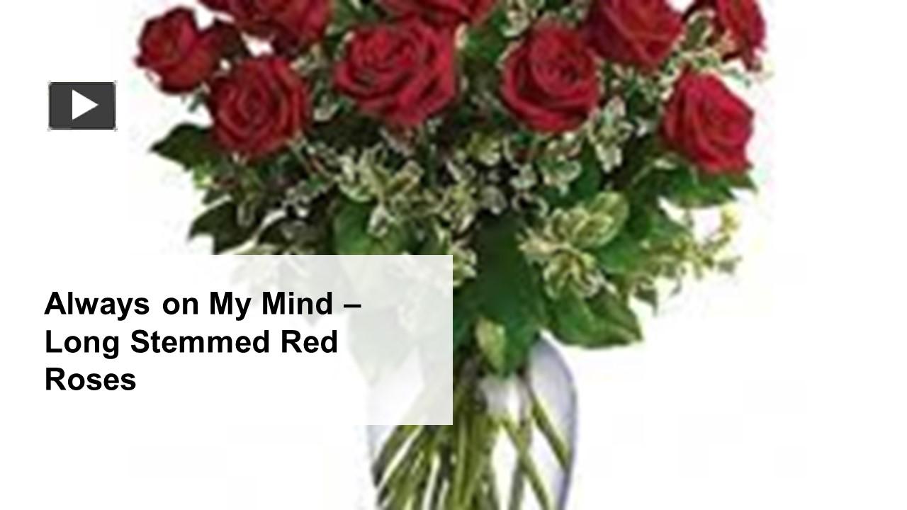 PPT Always on My Mind Long Stemmed Red Roses PowerPoint