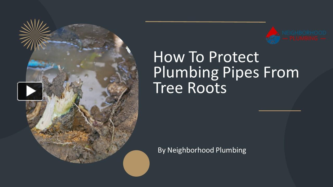 PPT How To Protect Pipes From Tree Roots PowerPoint presentation