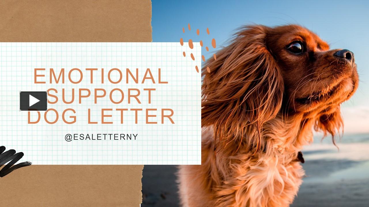 PPT Emotional Support Dog Letter PowerPoint presentation free to download id 95831fZTlhN