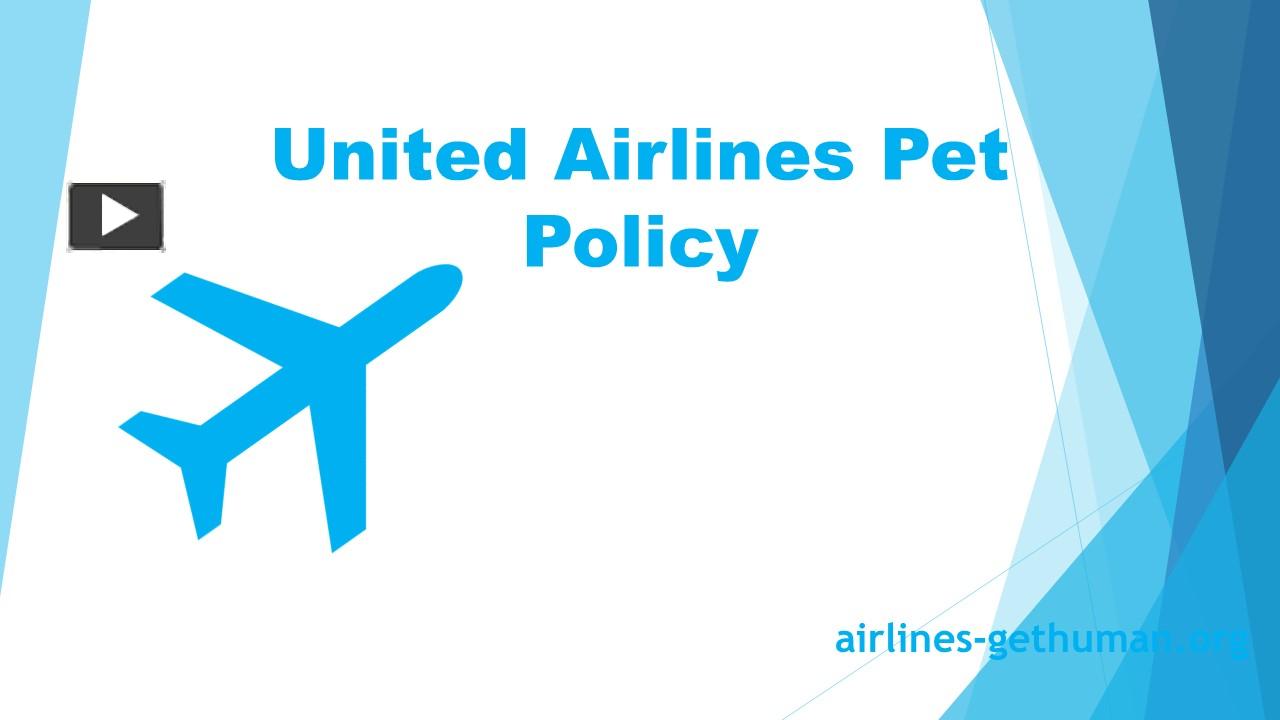 PPT United Airlines Pet Policy PowerPoint presentation free to