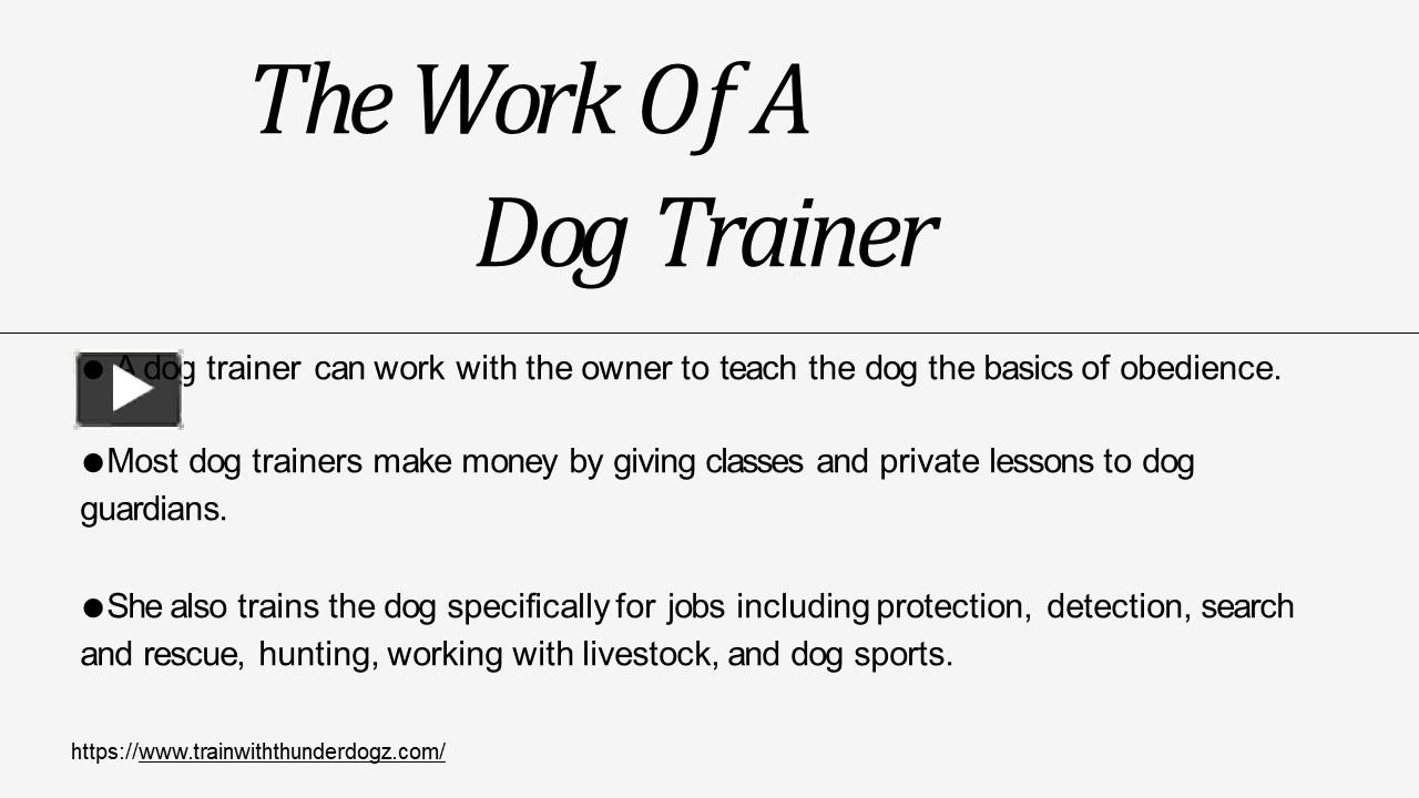 PPT Dog Training Class in Fort Lauderdale Dog Training Expert Fort