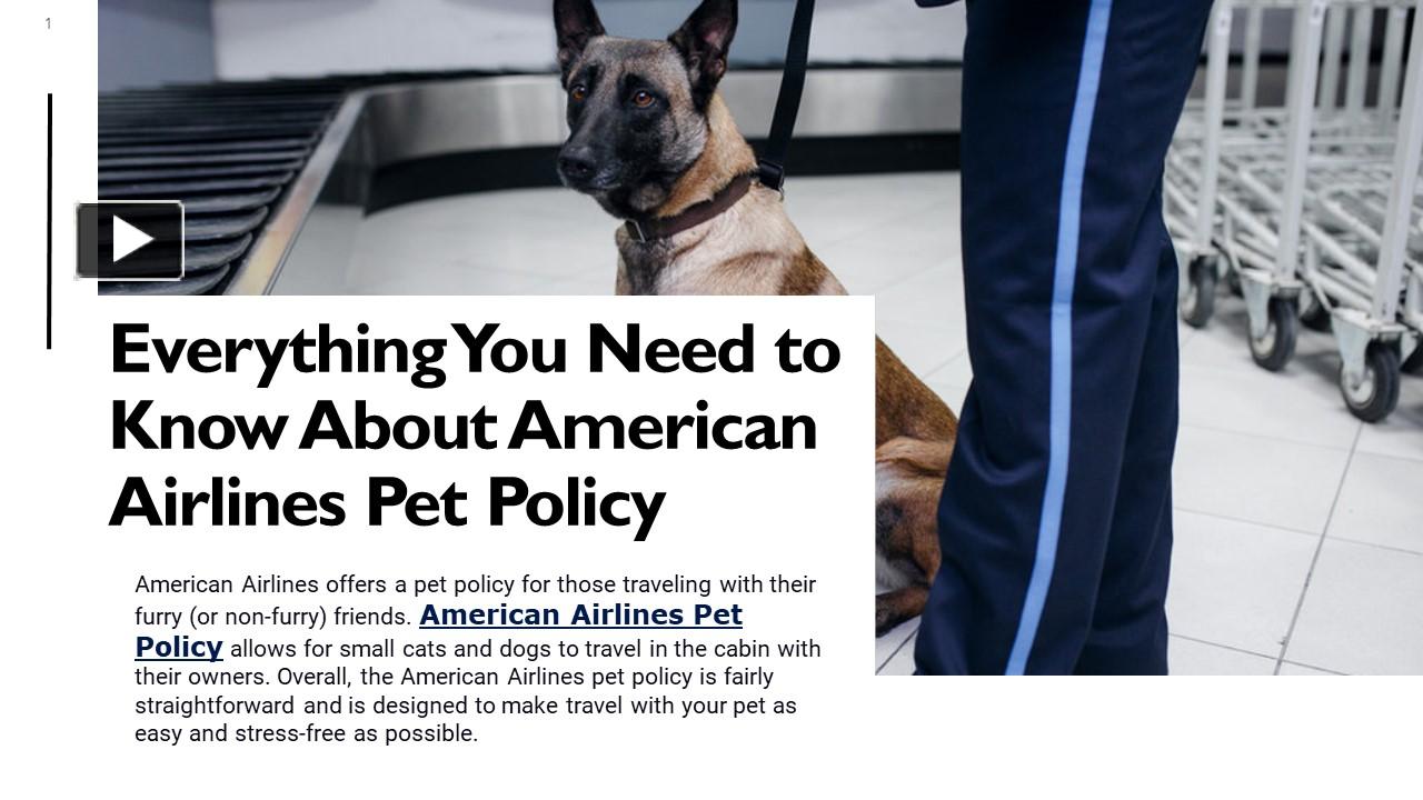 PPT Everything You Need to Know About American Airlines Pet Policy