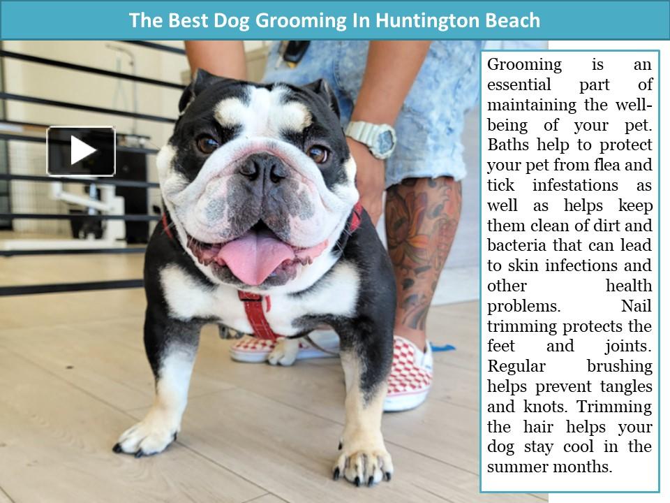 PPT The Best Dog Grooming In Huntington Beach PowerPoint presentation free to download id