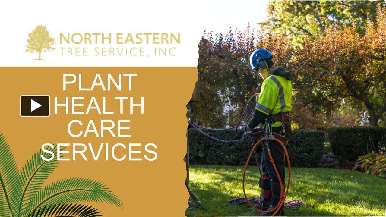 PPT Plant Health Care Service by North Eastern Tree Service
