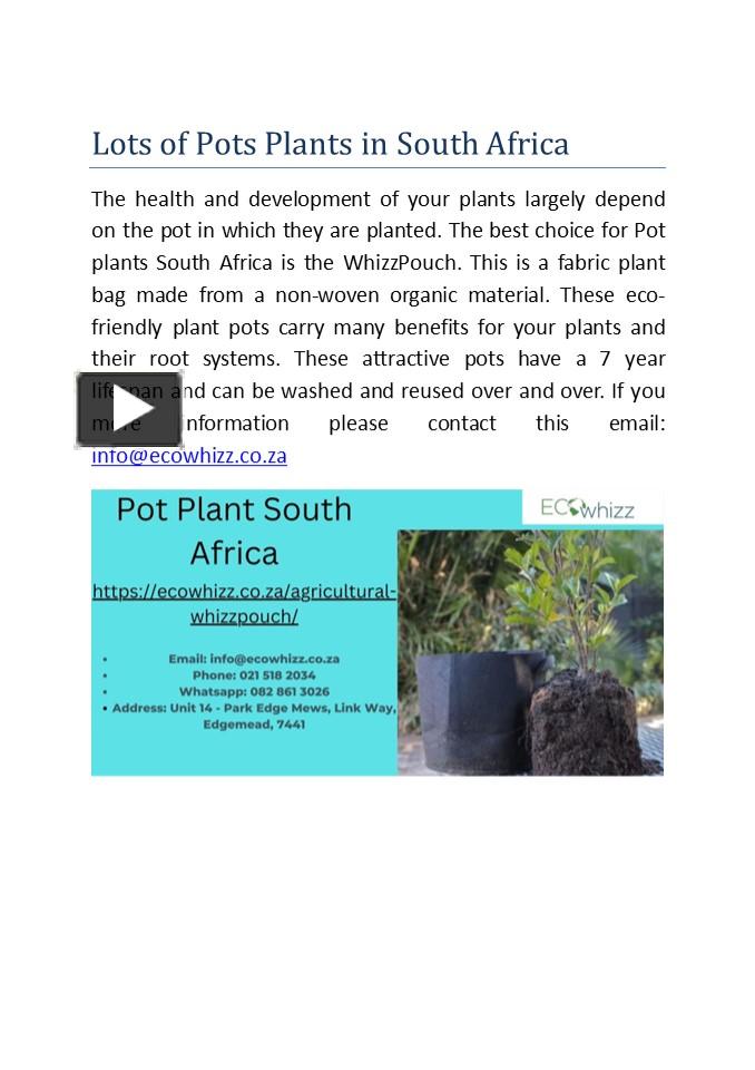 PPT Lots of Pots Plants in South Africa PowerPoint presentation