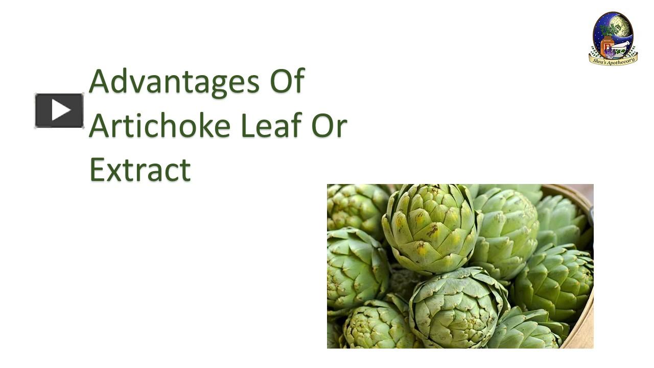 PPT Advantages Of Artichoke Leaf Or Extract (1) PowerPoint