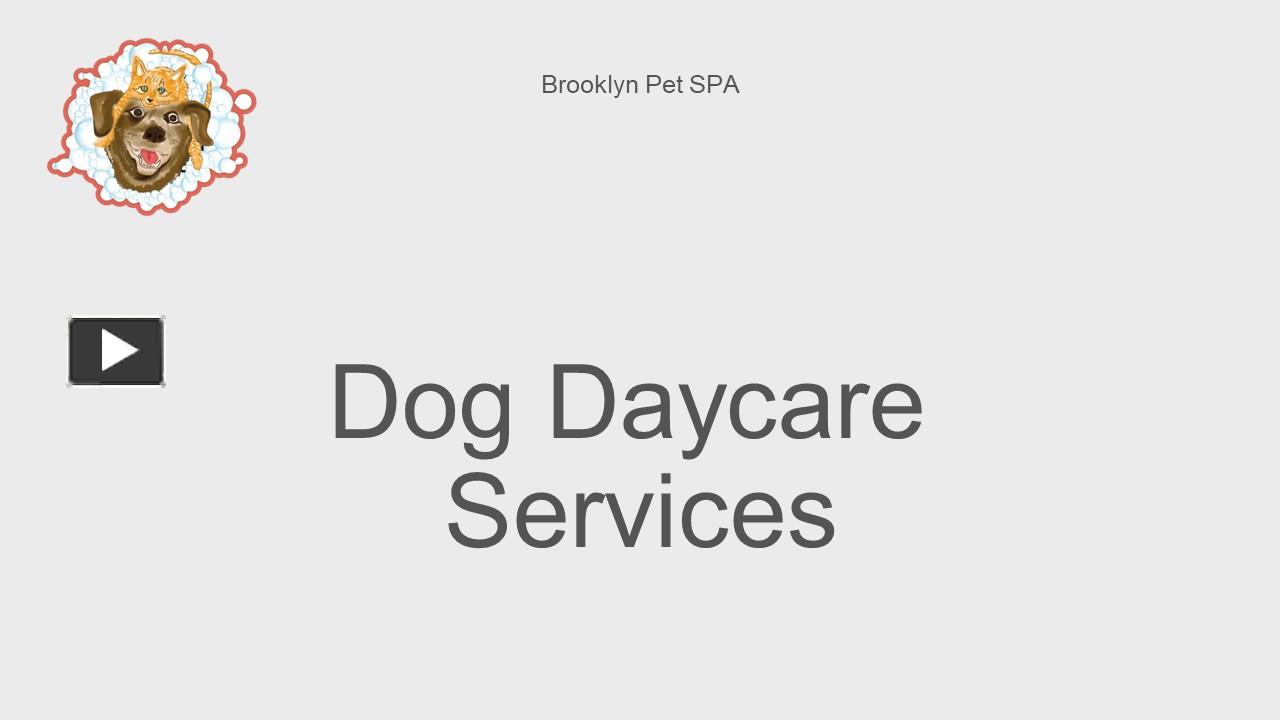 PPT Brooklyn Pet SPA Best for Daycare Services PowerPoint