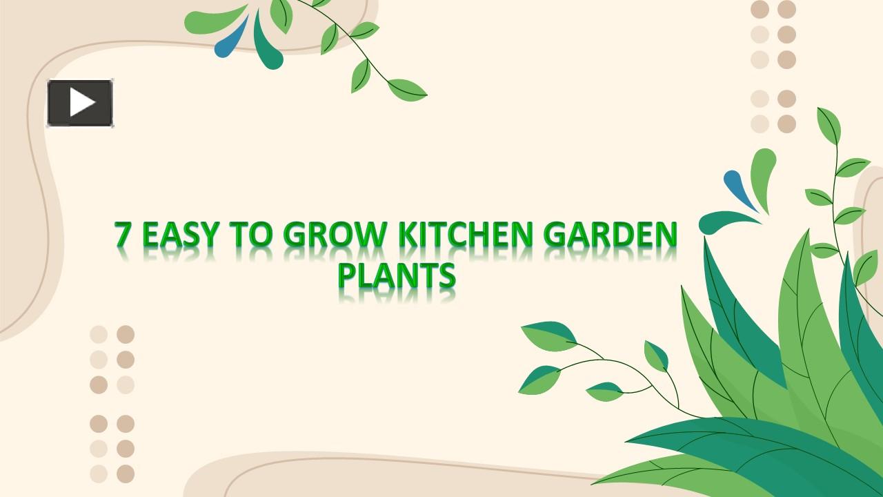 PPT 7 Easy to Grow Kitchen Garden Plants (1) PowerPoint presentation