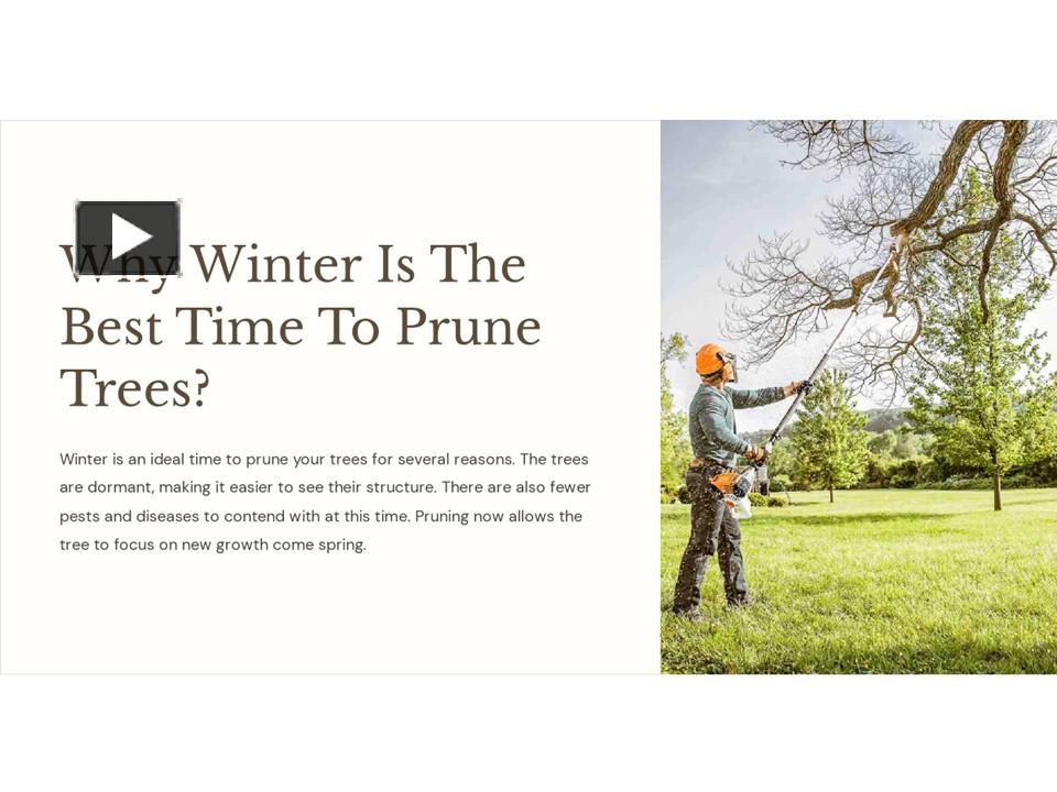 PPT Why Winter Is The Best Time To Prune Trees? PowerPoint