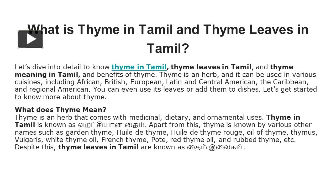 PPT What is Thyme in Tamil and Thyme Leaves in Tamil? PowerPoint