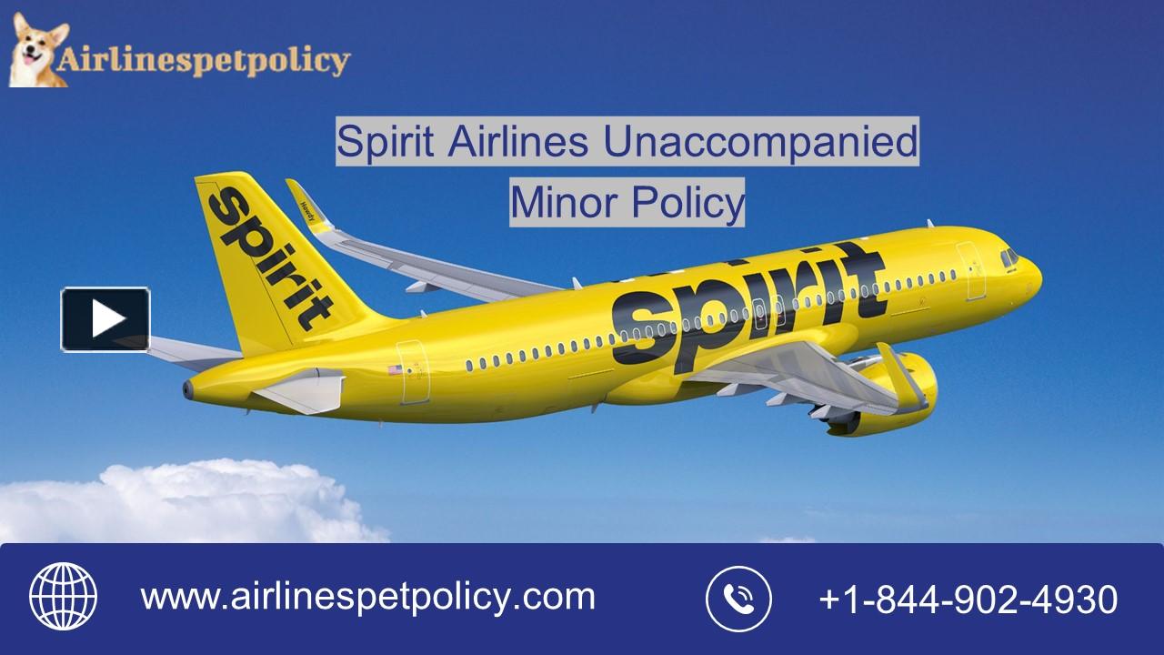 PPT Spirit Airlines Minor Policy PowerPoint