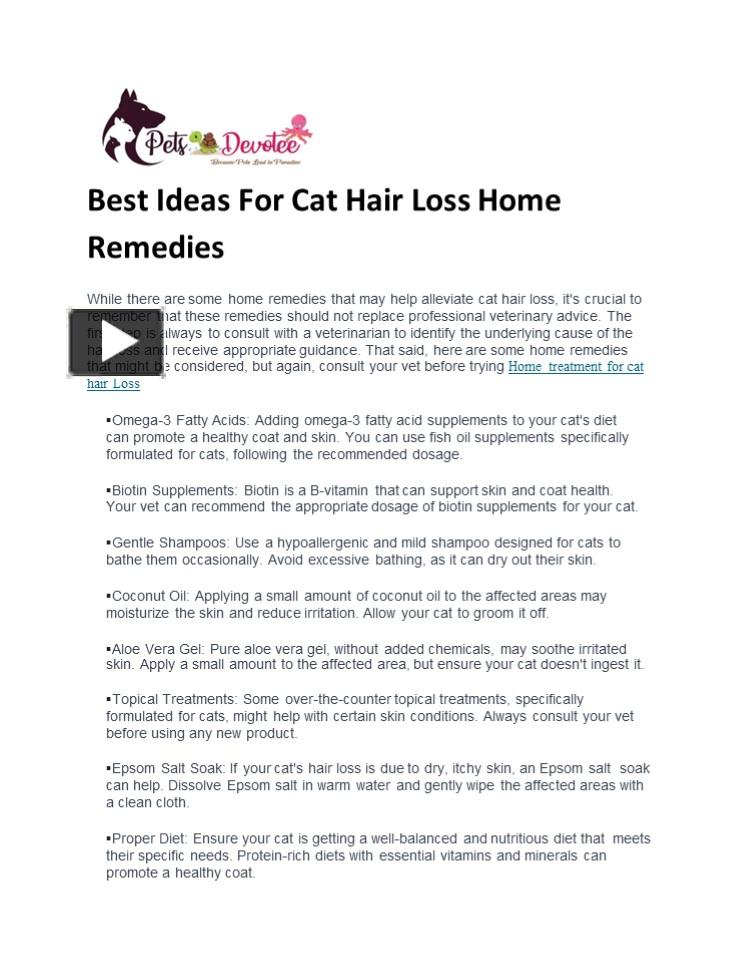 PPT Best Ideas For Cat Hair Loss Home Remedies PowerPoint presentation free to download id