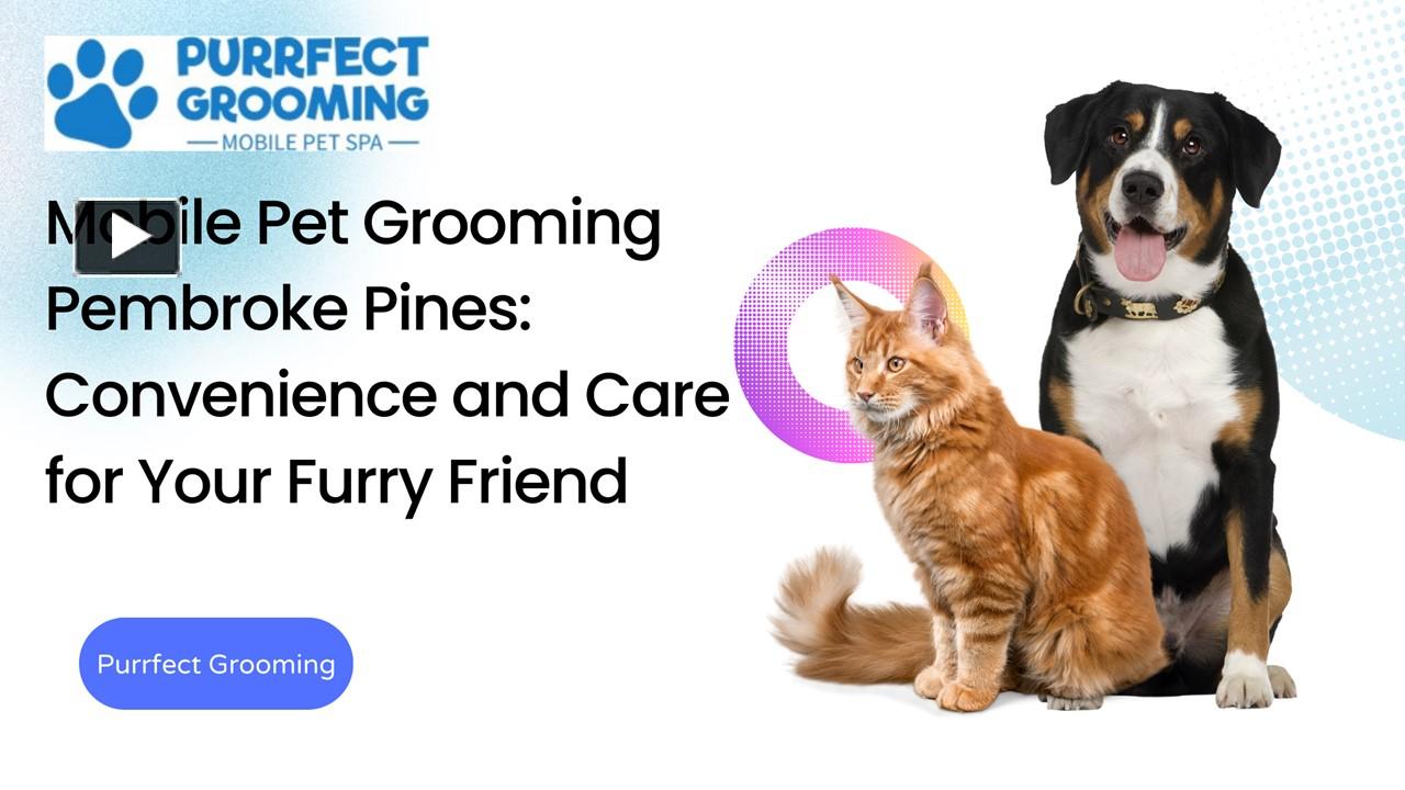 PPT Mobile Pet Grooming Pembroke Pines Convenience and Care for Your