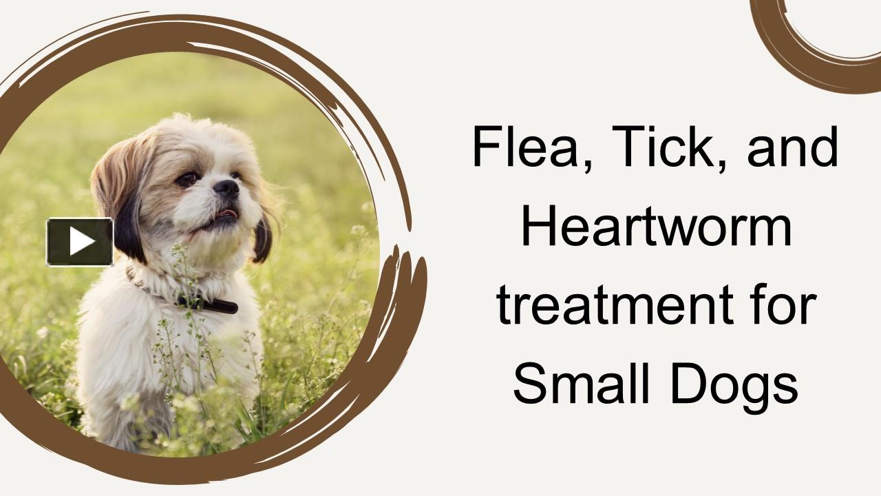 PPT Flea, Tick, and Heartworm treatment for Small Dogs PowerPoint