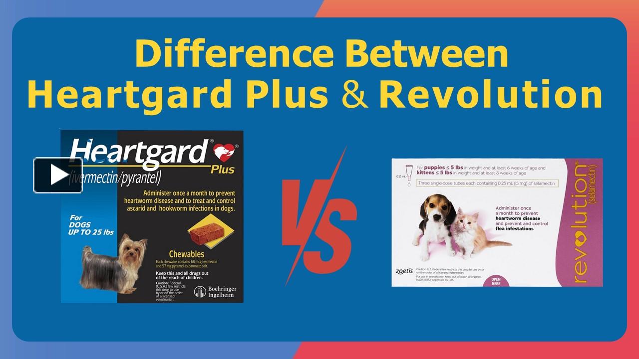 PPT Difference Between Heartgard Plus & Revolution PowerPoint presentation free to download