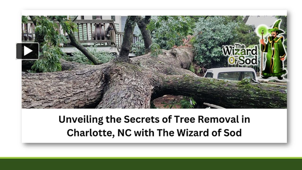 PPT Unveiling the Secrets of Tree Removal in Charlotte, NC with The