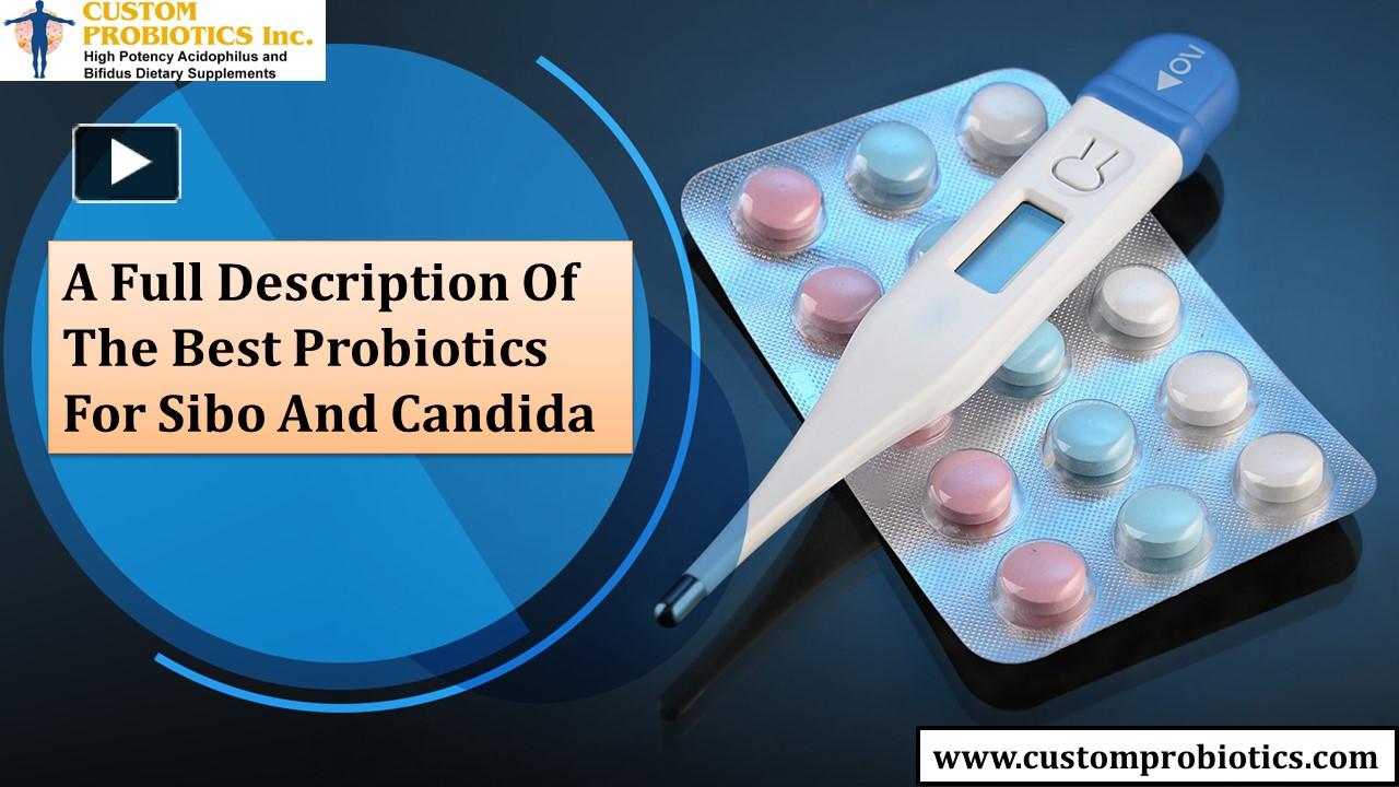 PPT A Full Description Of The Best Probiotics For Sibo And Candida