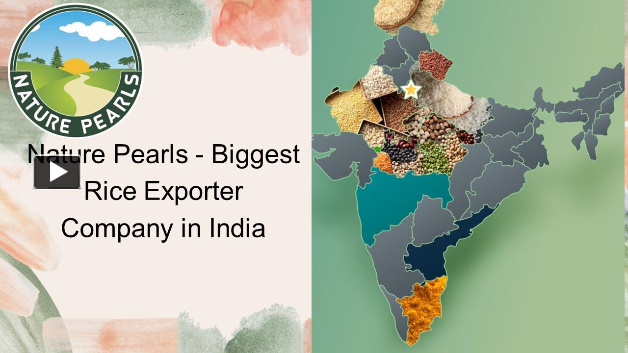 PPT Nature Pearls Biggest Rice Exporter Company in India PowerPoint