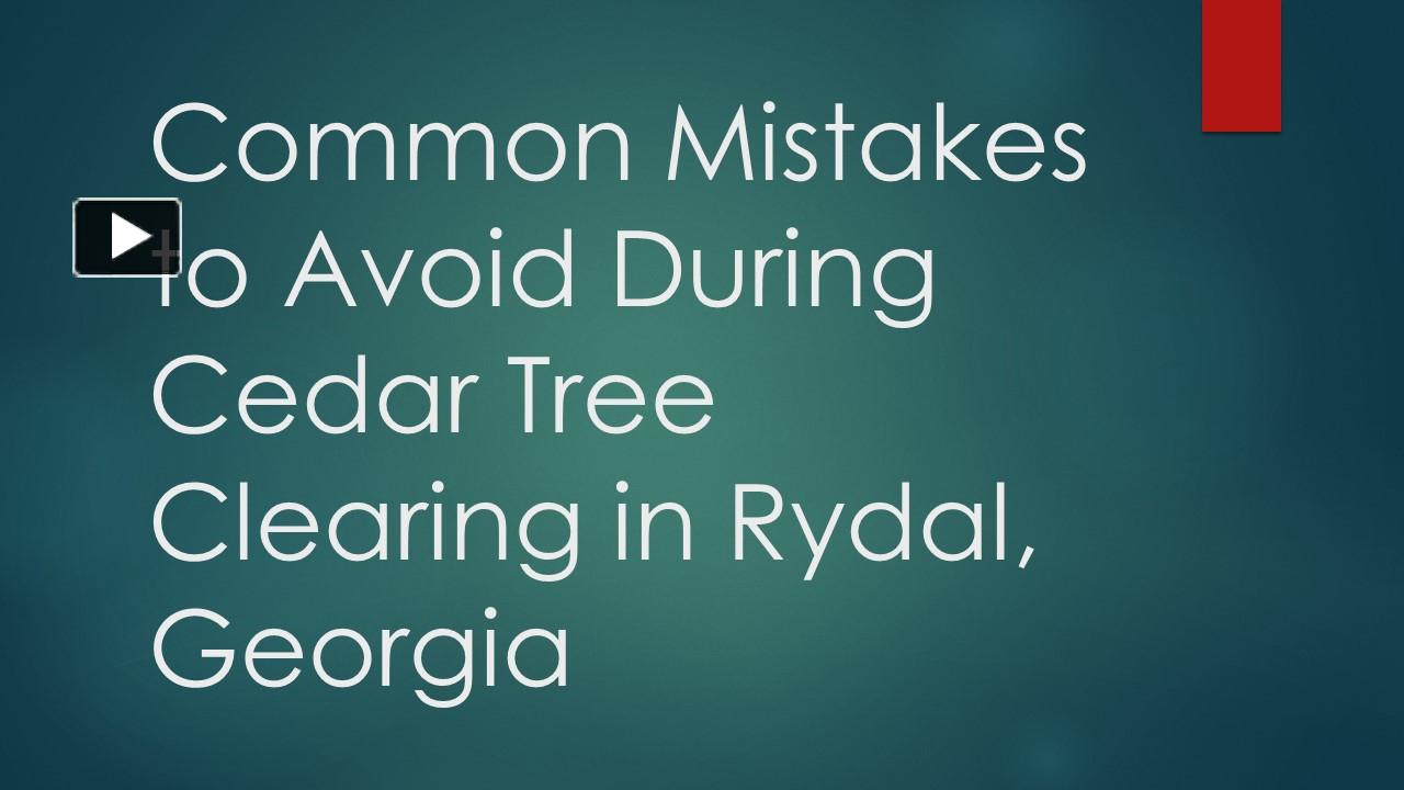 PPT Common Mistakes to Avoid During Cedar Tree Clearing in Rydal