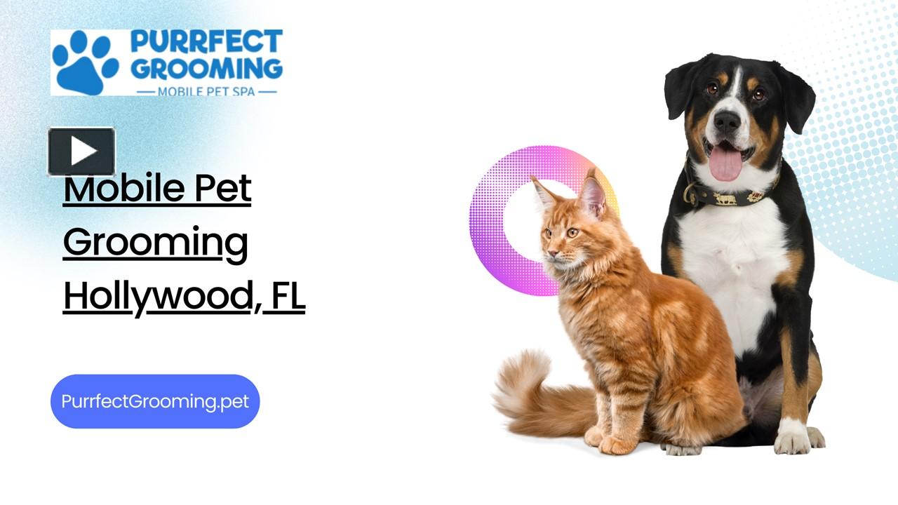 PPT Mobile Pet Grooming Hollywood, FL PowerPoint presentation free