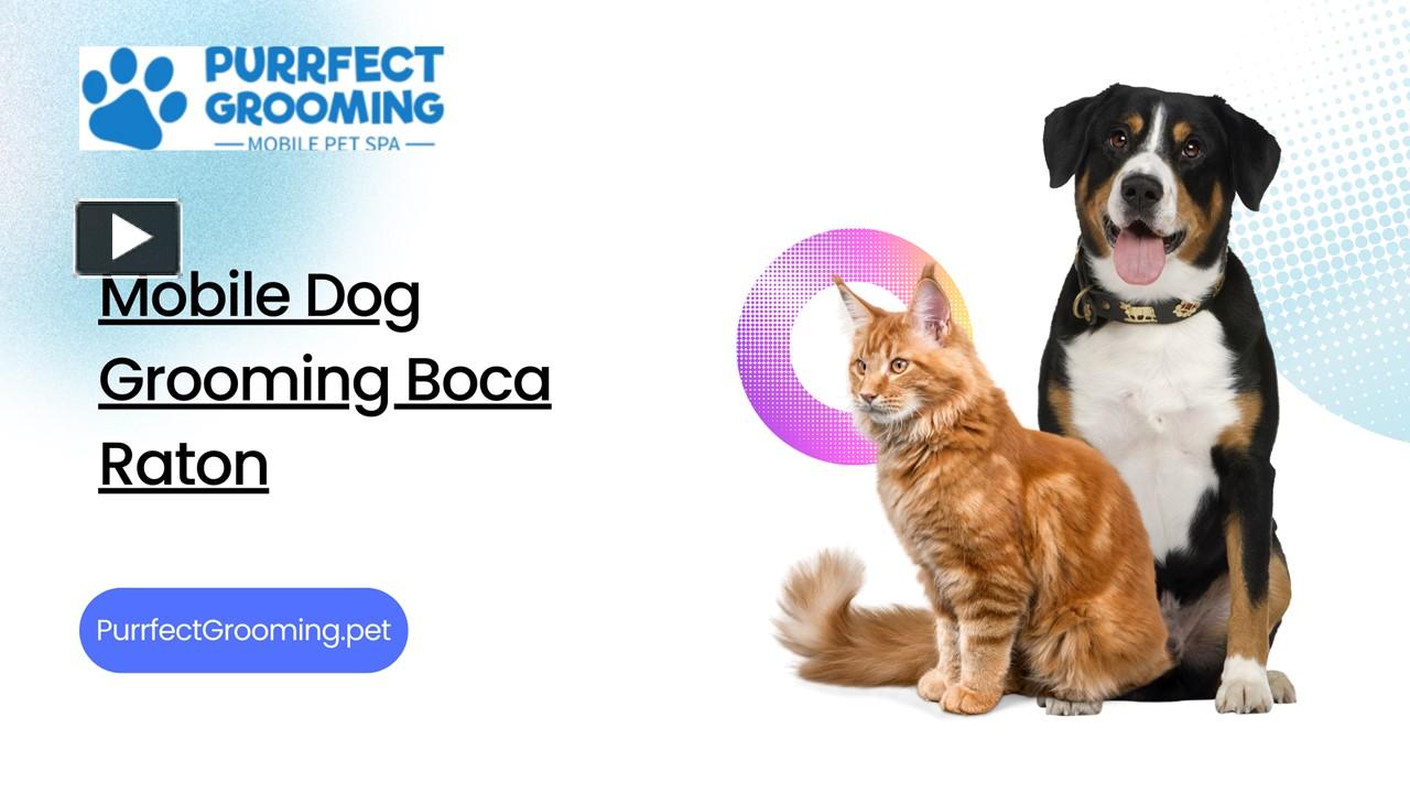 PPT Mobile Dog Grooming Boca Raton Why Purrfect Grooming is the Best