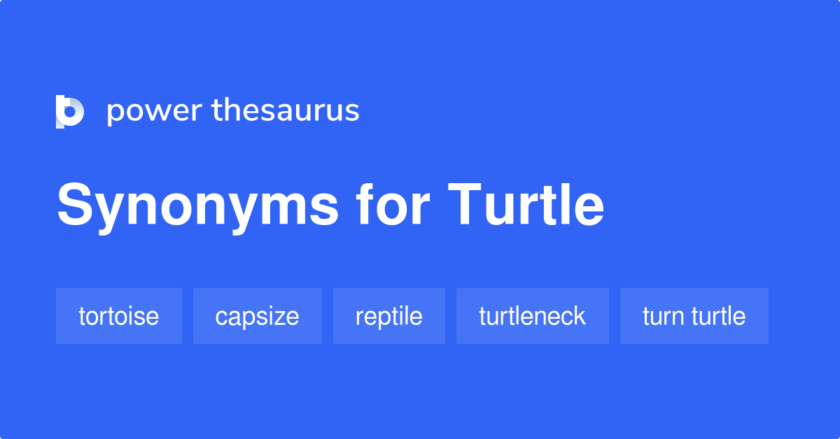 Turtle synonyms 212 Words and Phrases for Turtle