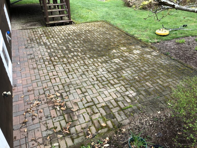Removing Moss From Brick Patio Patio Ideas